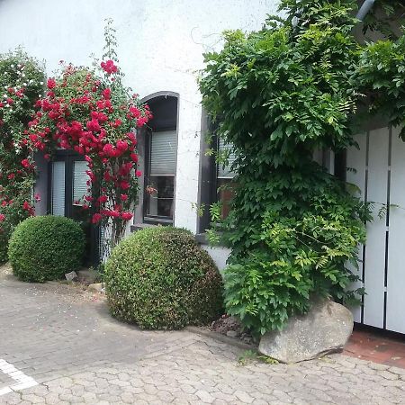 Altstadt-Apartment ペータースハーゲン エクステリア 写真