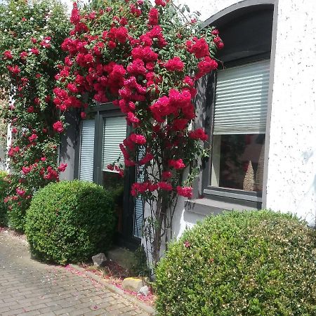 Altstadt-Apartment ペータースハーゲン エクステリア 写真