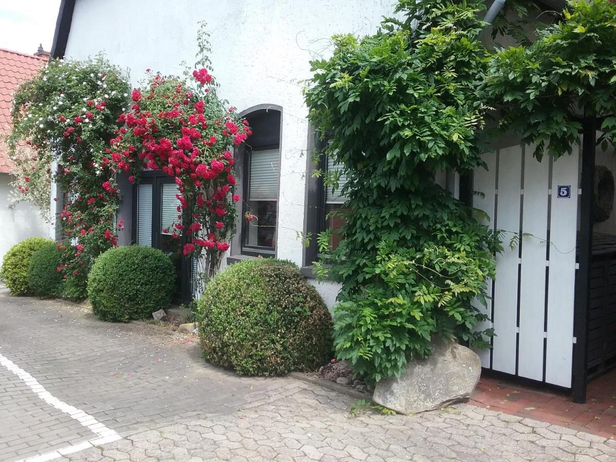 Altstadt-Apartment ペータースハーゲン エクステリア 写真