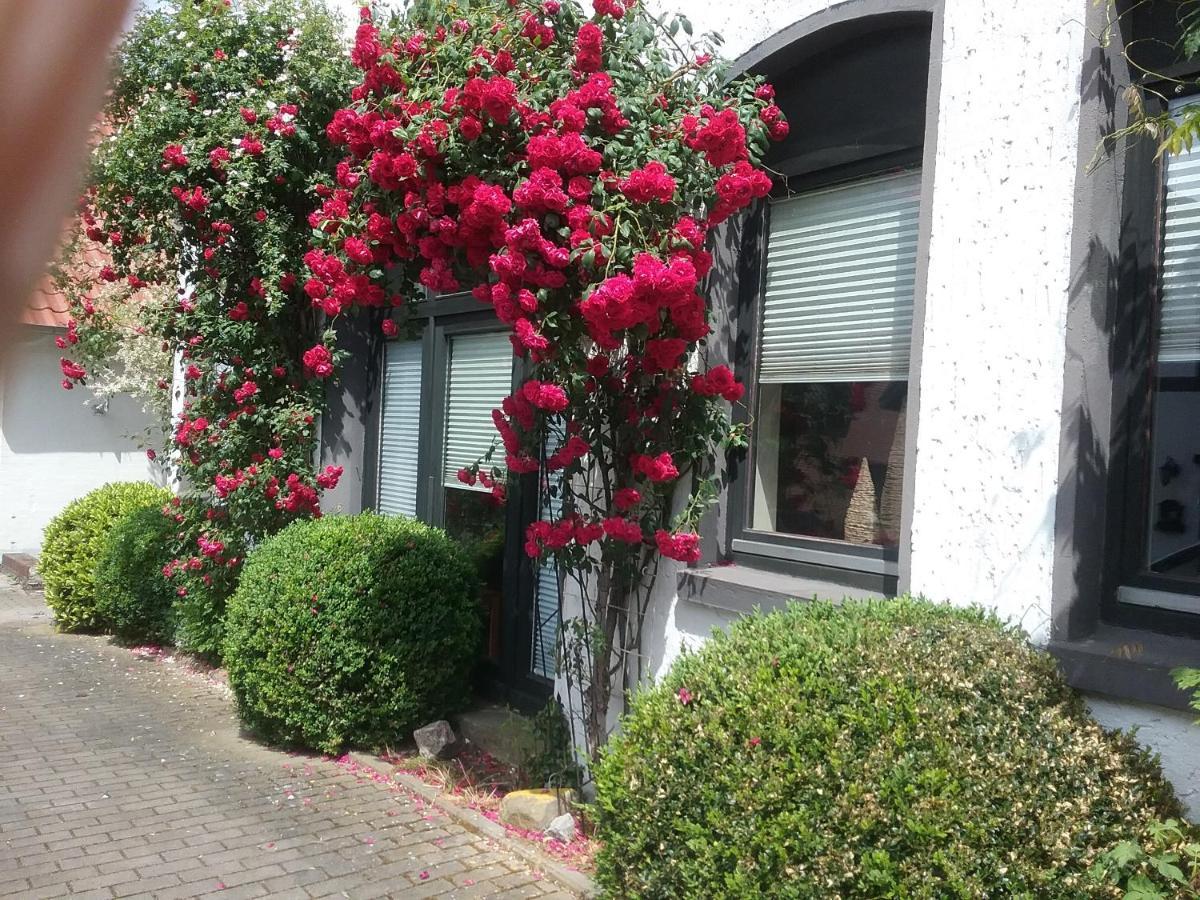 Altstadt-Apartment ペータースハーゲン エクステリア 写真